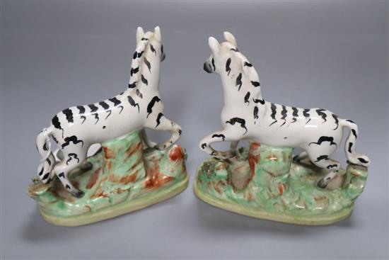 A pair of Victorian Staffordshire zebra, width 11cm